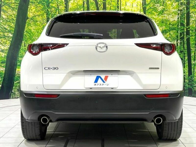 CX-30-13