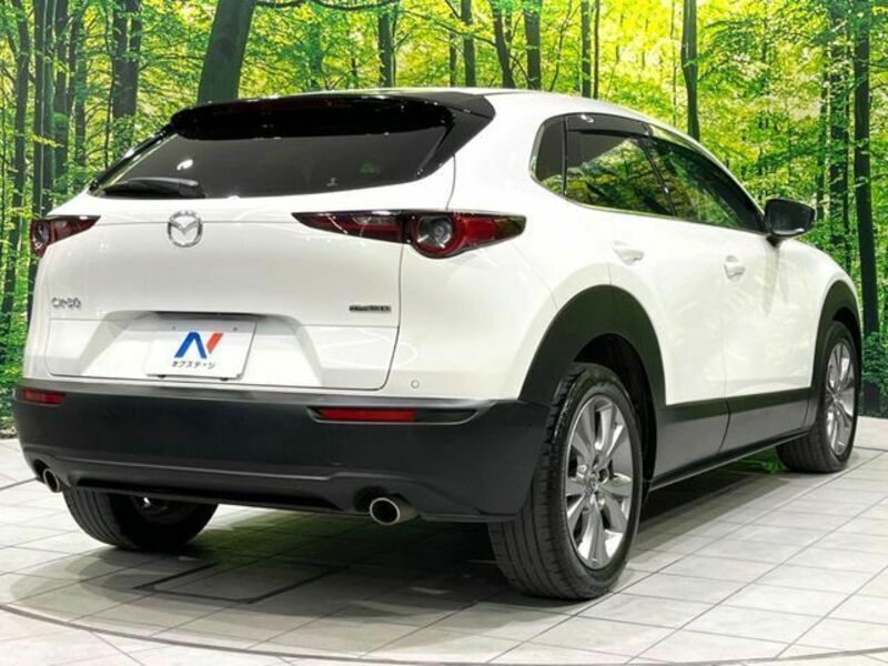 CX-30-15