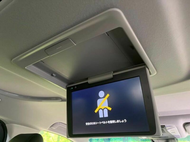 ALPHARD-3