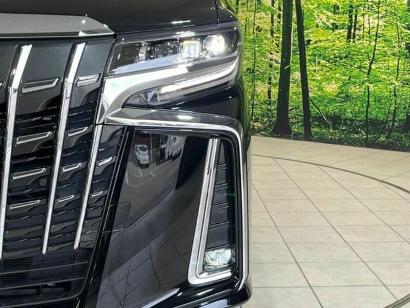 ALPHARD-11