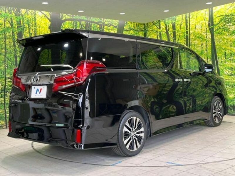 ALPHARD-16