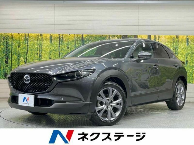 CX-30