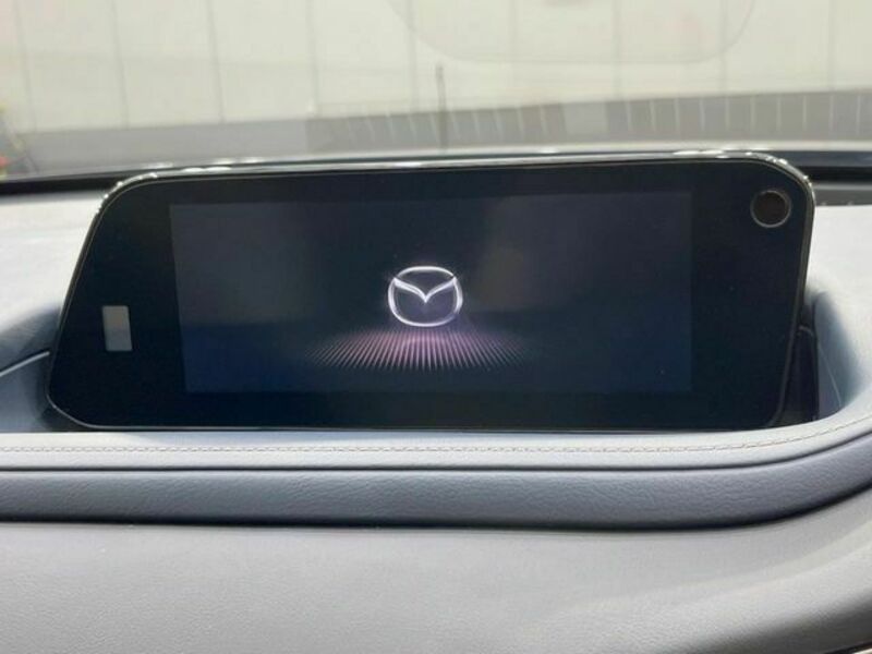 CX-30-3