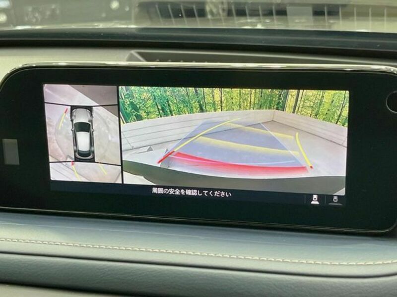 CX-30-4