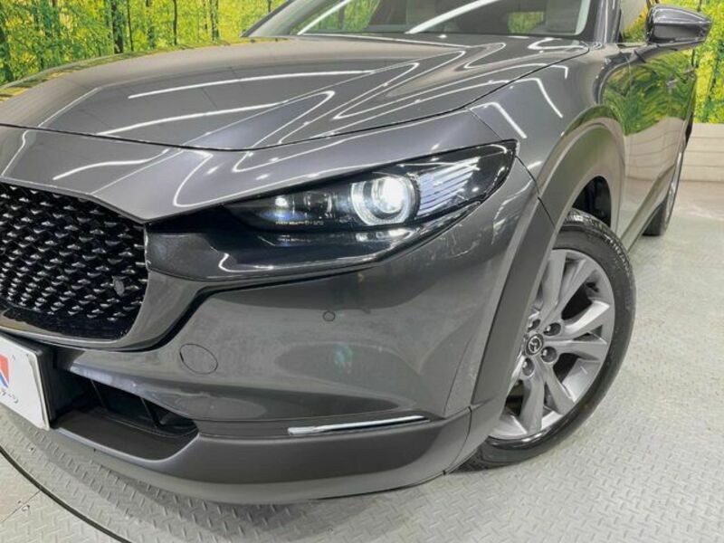 CX-30-11