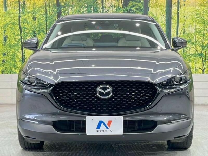 CX-30-13