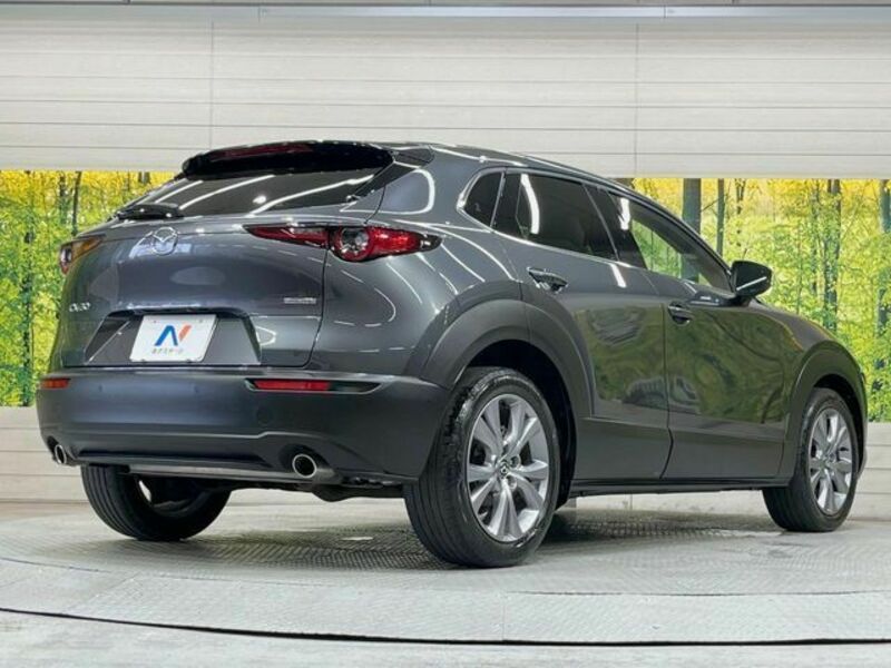 CX-30-16