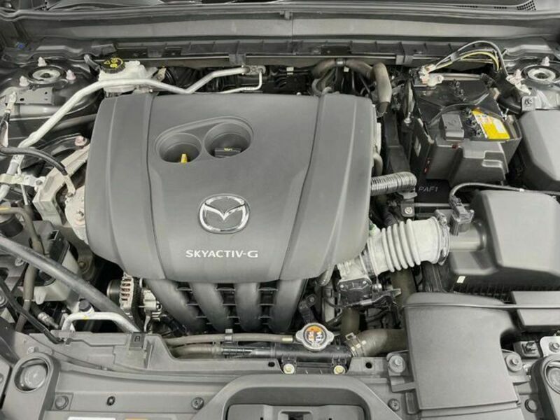 CX-30-17
