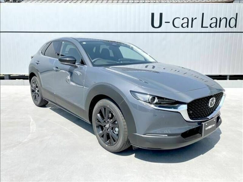 CX-30