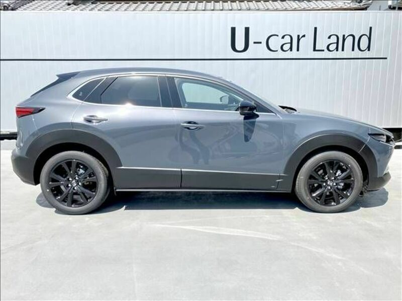 CX-30