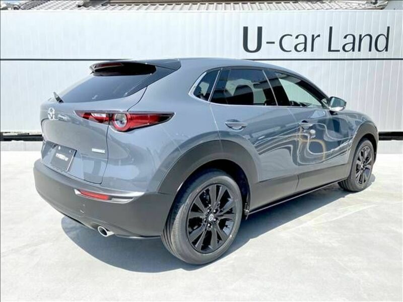CX-30