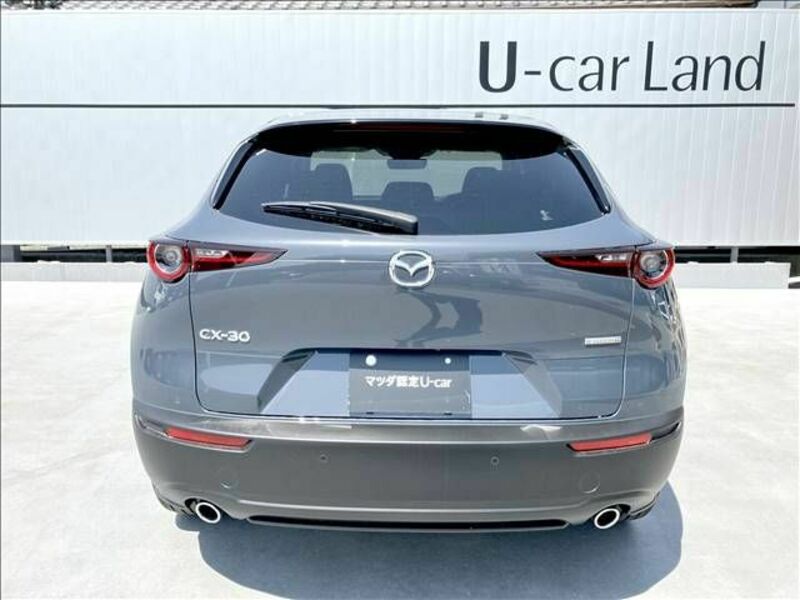 CX-30