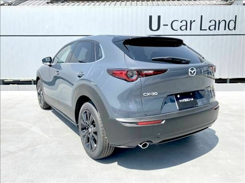 CX-30