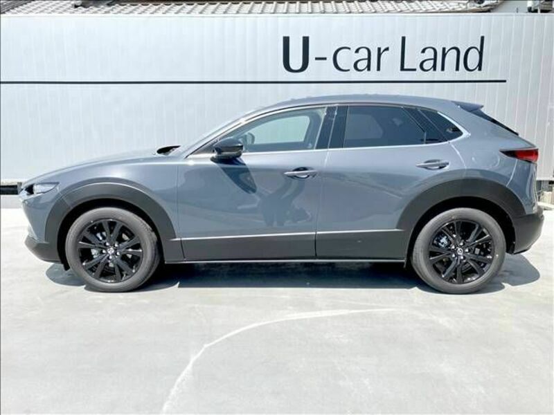 CX-30