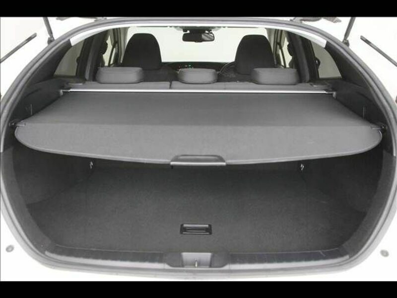 PRIUS-19