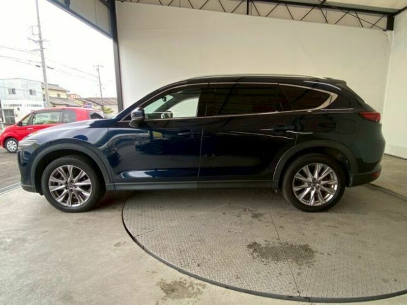 CX-8