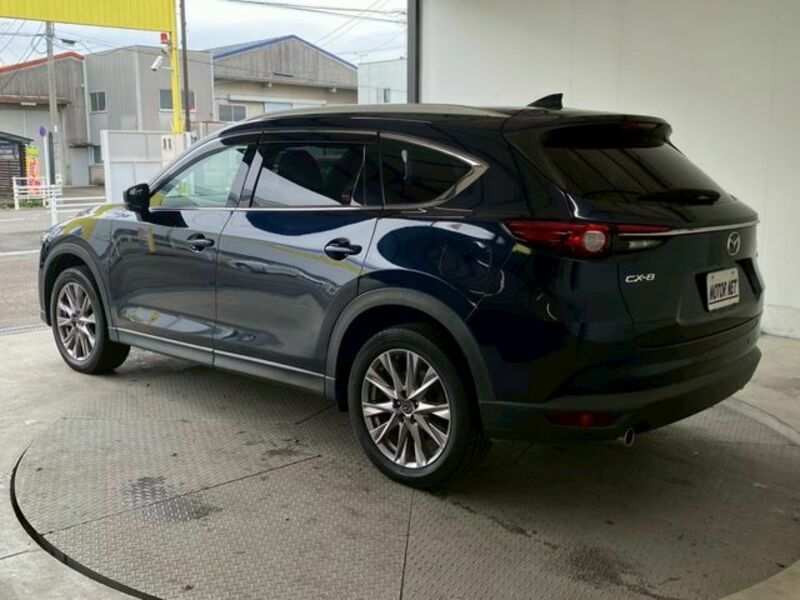 CX-8