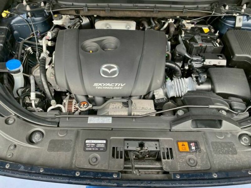 CX-8