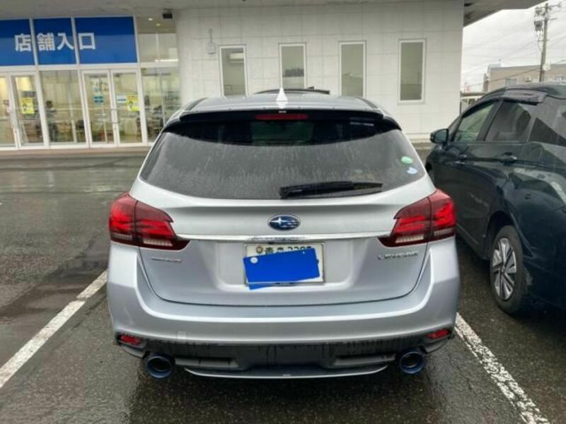LEVORG