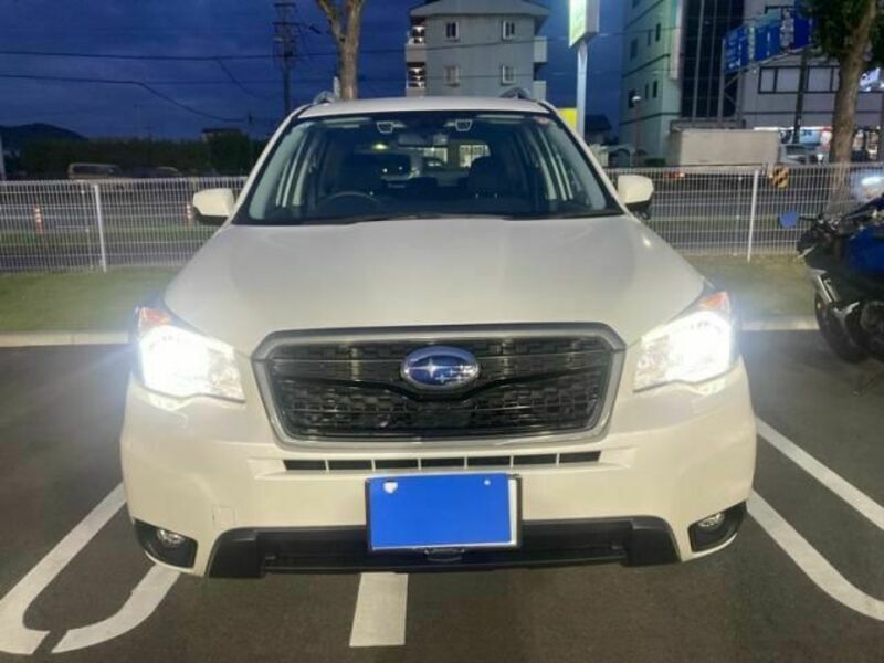 FORESTER-1