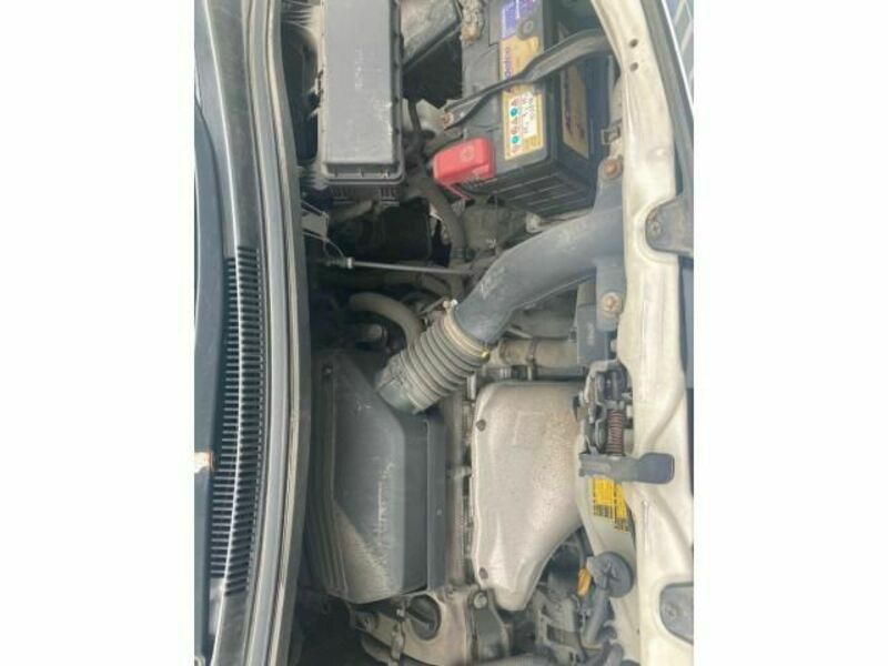 ALPHARD-24