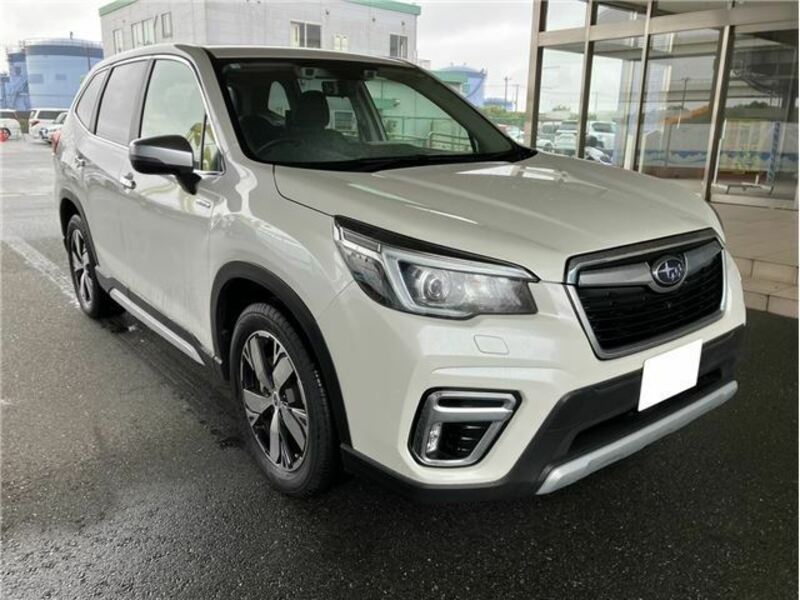 FORESTER