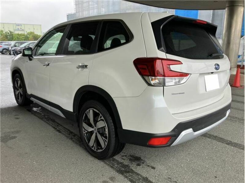 FORESTER-1