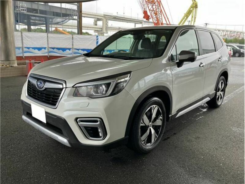 FORESTER-2