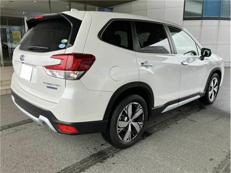 FORESTER-3