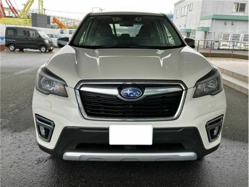FORESTER-4