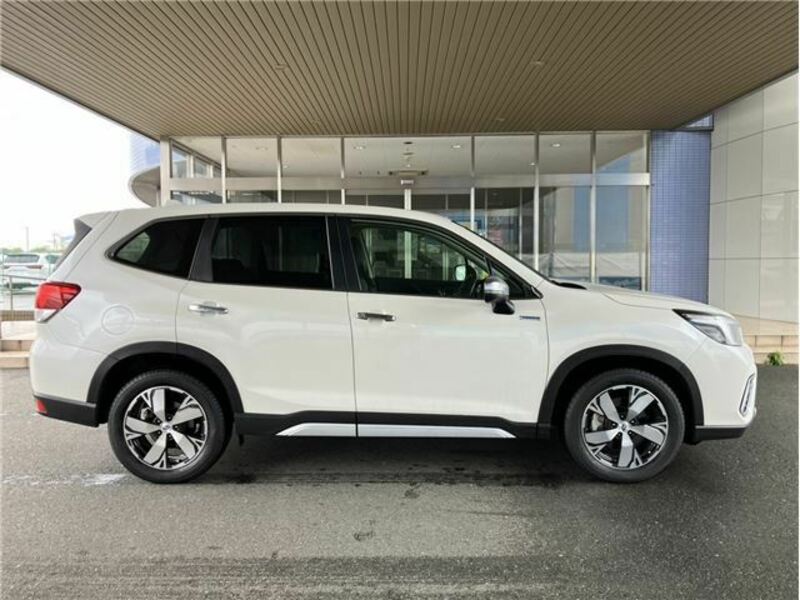 FORESTER-6