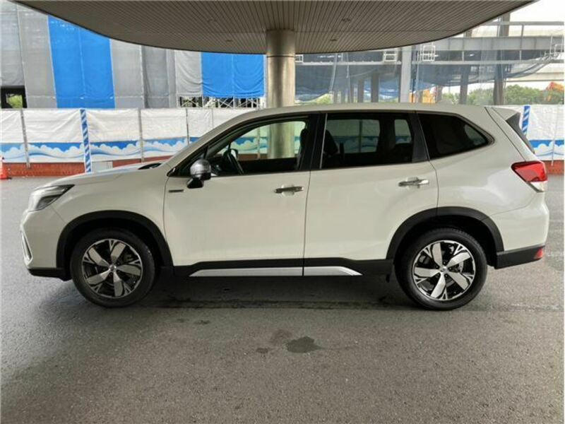 FORESTER-7
