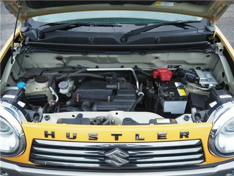 HUSTLER