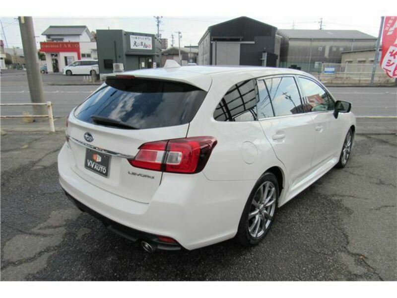 LEVORG