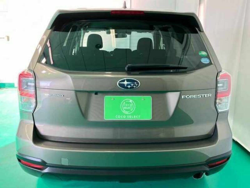 FORESTER