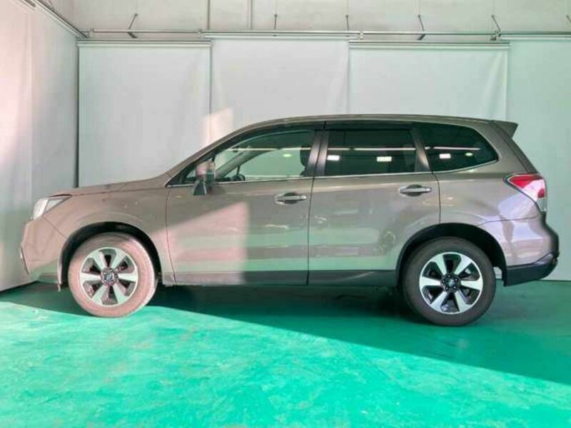 FORESTER