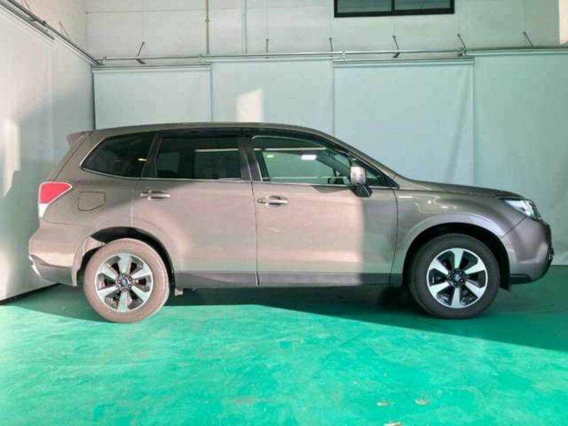 FORESTER