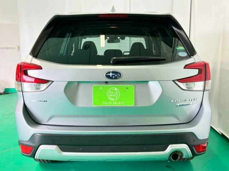 FORESTER-1