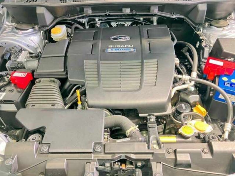 FORESTER-3
