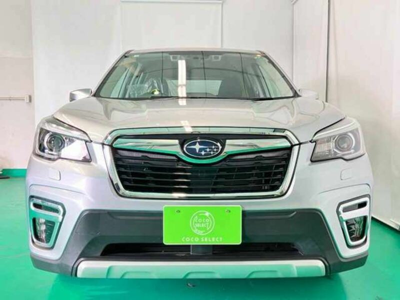 FORESTER-4