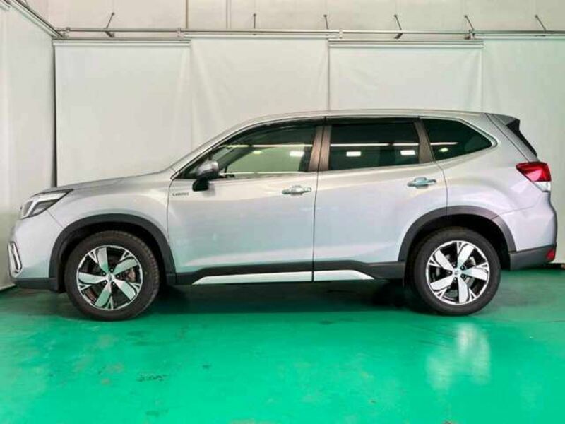 FORESTER-5