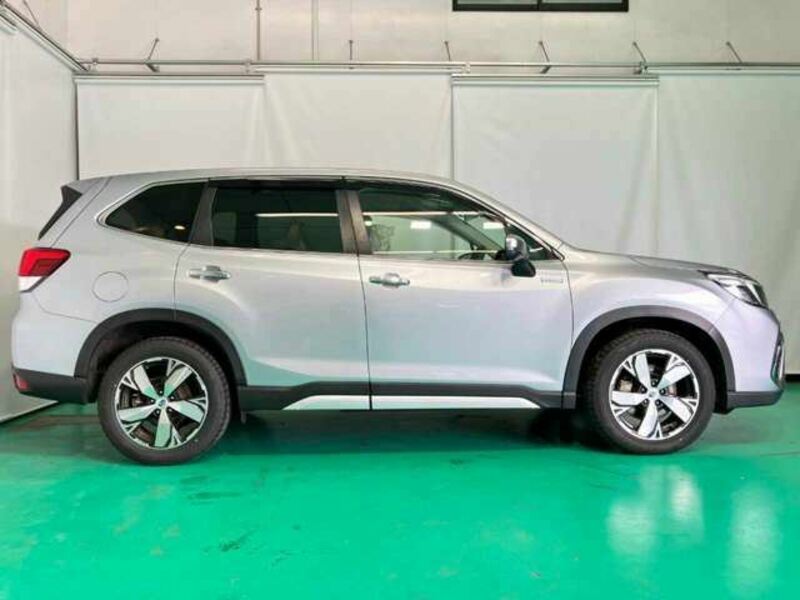 FORESTER-6