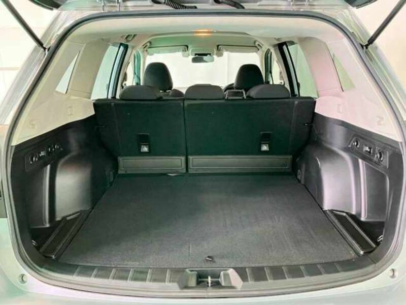 FORESTER-7