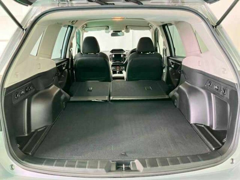 FORESTER-8