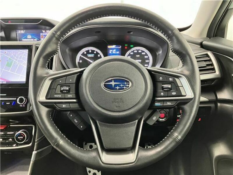 FORESTER-19