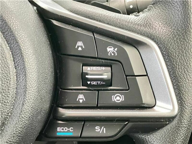 FORESTER-30