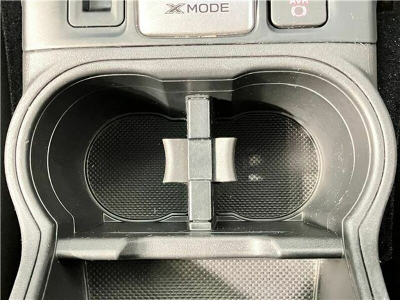 FORESTER-36