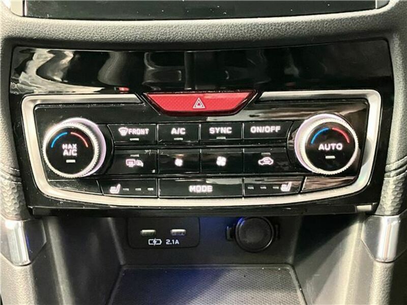 FORESTER-38
