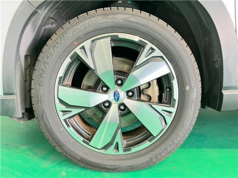 FORESTER-44