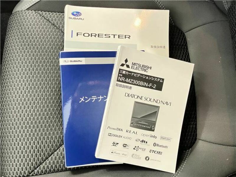 FORESTER-47